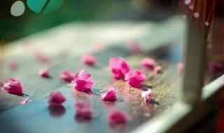 分手了就不要再联络